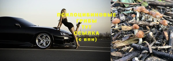 шишки Алексин