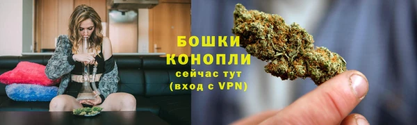 амф Осинники