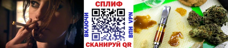 продажа наркотиков  Новоузенск  Канабис Amnesia 